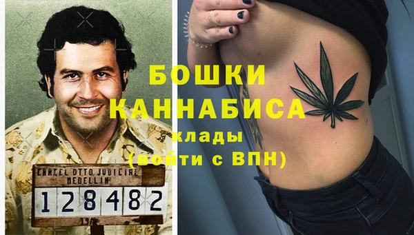 СК Аркадак