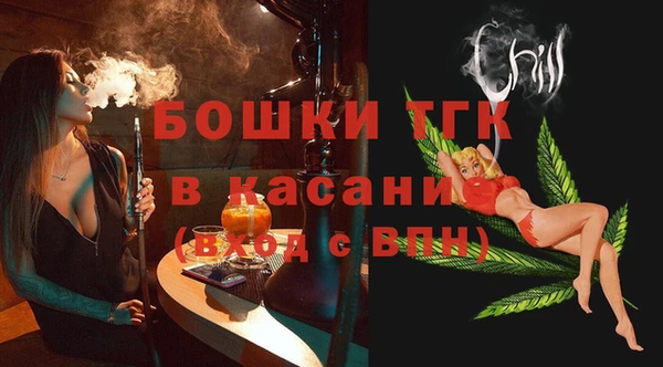 индика Армянск