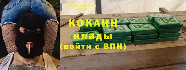 индика Армянск