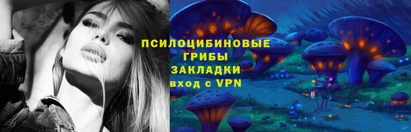 СК Аркадак