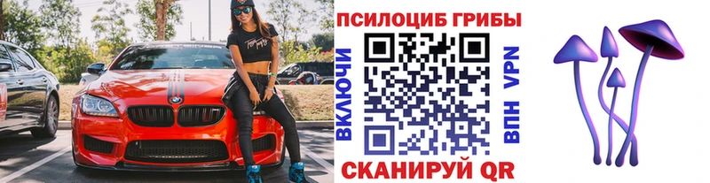 Купить  Добрянка  Галлюциногенные грибы мицелий 